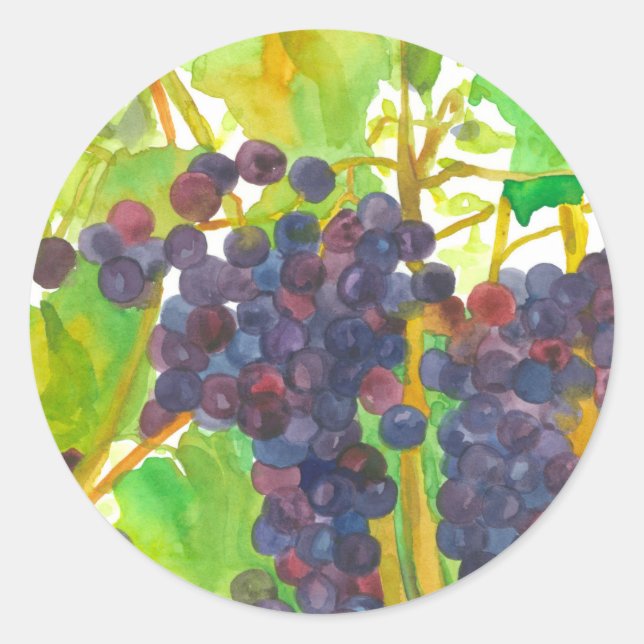 Sticker Rond Vignoble de raisins Fruit de la vigne Automne (Devant)