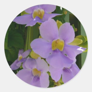Sticker Rond Vin à fleurs Ciel Tropical Violet Floral