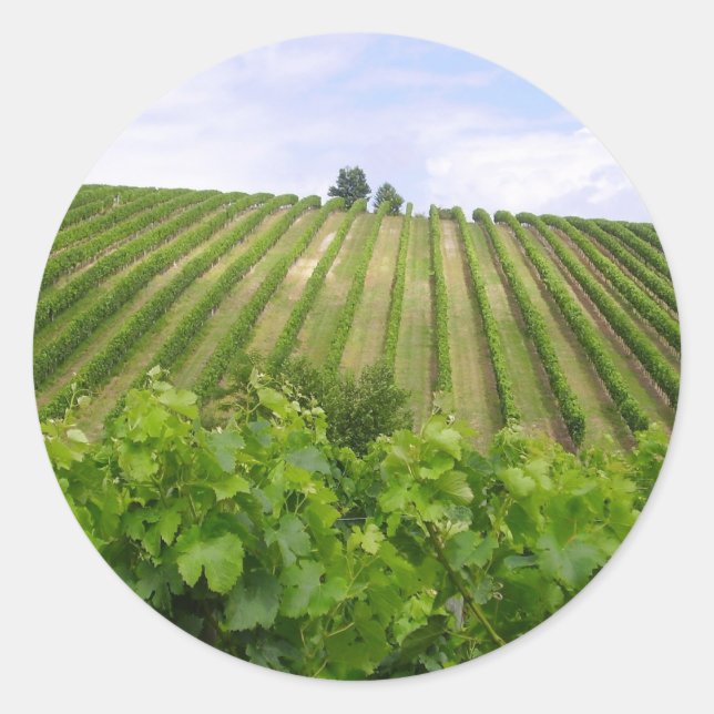 Sticker Rond Vineyard - Vignoble (Bordeaux - France) 02 (Devant)
