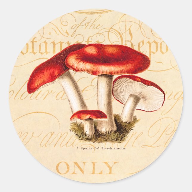 Sticker Rond vintage 1800s Champignons rouges Modèle (Devant)