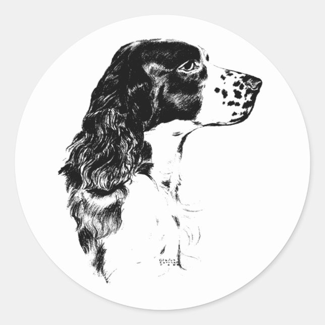 Sticker Rond Vintage Art Anglais Springer Spaniel Chien (Devant)