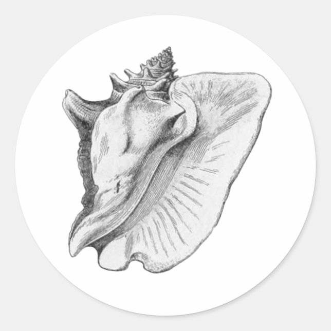 Sticker Rond vintage conch noir et blanc (Devant)