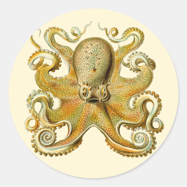 Sticker Rond Vintage Kraken, Octopus Gamochonia, Ernst Haeckel (Devant)