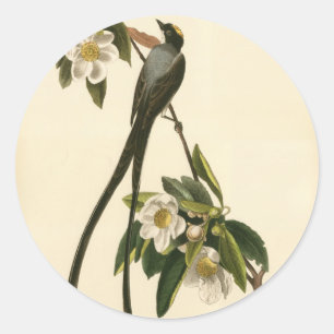 Sticker Rond Vintage Magnolia Floral Bird Flycatcher Personnali
