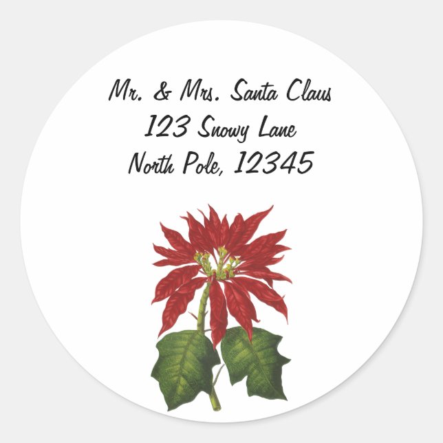 Sticker Rond Vintage Noël, Rouge Poinsettia Plante d'hiver (Devant)