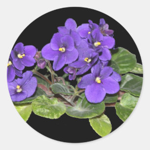 Sticker Rond Violet africain