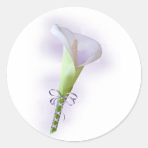 Sticker Rond Violet Calla Lily