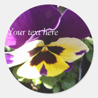 Sticker Rond Violet pansy
