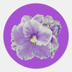 Sticker Rond Violet violet africain