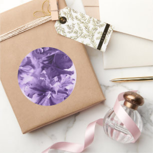 Sticker Rond Violettes monochromes