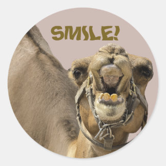 STICKER ROND VISAGE DE CHAMEAU AVEC DES DENTS & GRAND SOURIRE V