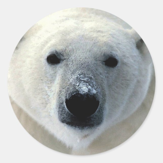 Sticker Rond Visage de l'ours polaire (Devant)