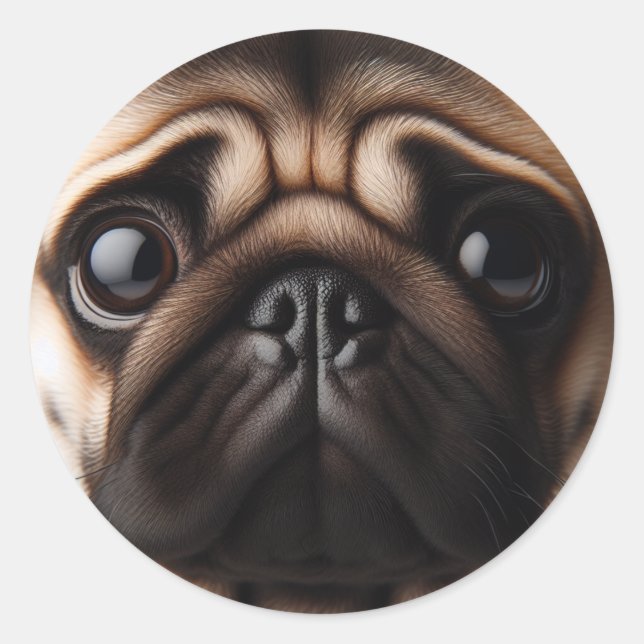 Sticker Rond Visage de Pug Mignon Chiens Pug (Devant)