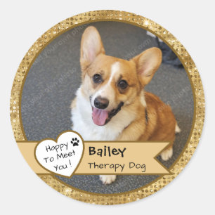 Sticker Rond Visite de chien thérapeutique avec étincelle dorée
