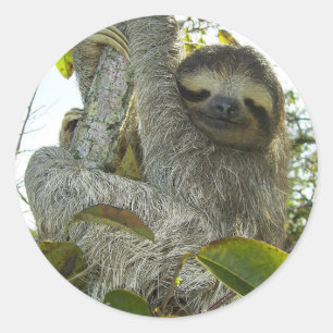 Sticker Rond Vivre la vie comme une Sloth