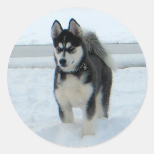 Sticker Rond Voici le problème (Devant)