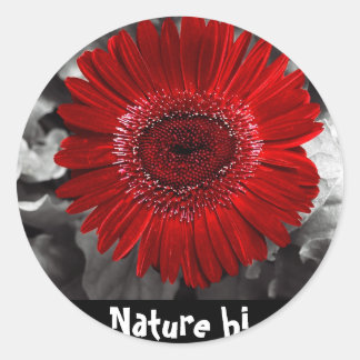 Sticker Rond voir rouge