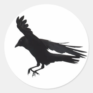 Sticker Rond Vol à l'atterrissage noir Crow Art