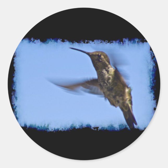 Sticker Rond Vol du colibri (Devant)