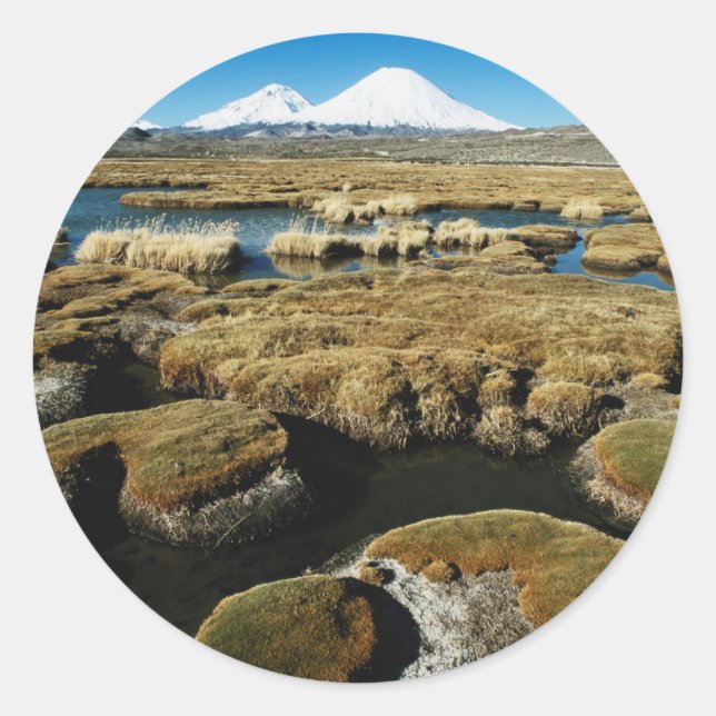Sticker Rond Volcans Payachalas (Devant)