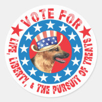 Vote pour GSD