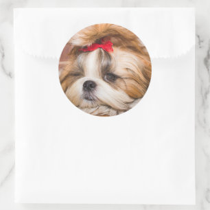 Sticker Rond Votre chiot chien animal de compagnie photo person