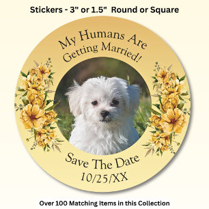 Sticker Rond Votre photo d'animal de compagnie, Enregistrez la 