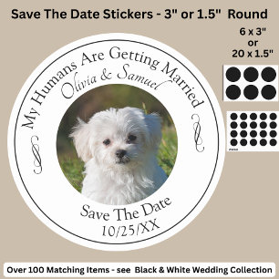 Sticker Rond Votre photo d'animal de compagnie, Sauvegarder la 