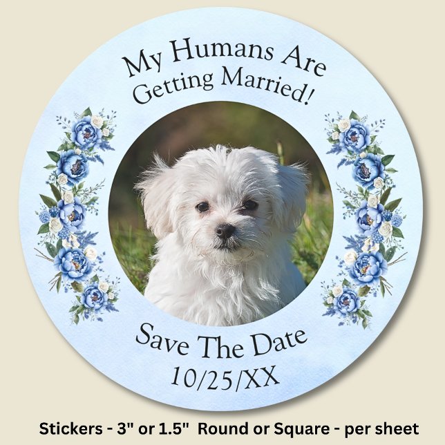 Sticker Rond Votre photo d'animal de compagnie - Save The Date  (Créateur téléchargé)