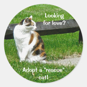 Sticker Rond Vous cherchez l'amour ? Adoptez un chat "secourt"