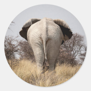 Sticker Rond Vue arrière de l'éléphant