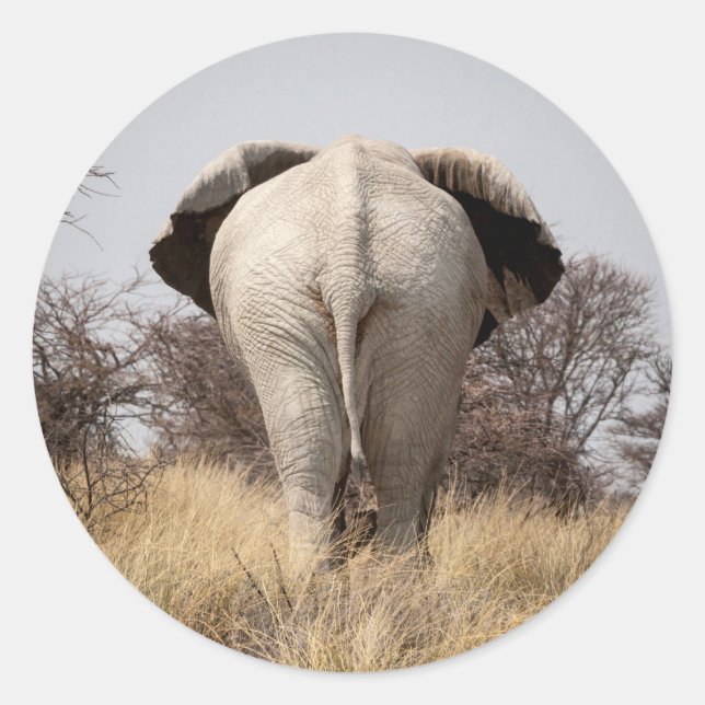 Sticker Rond Vue arrière de l'éléphant (Devant)