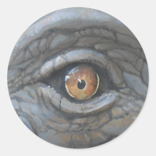 Sticker Rond Vue oeil_