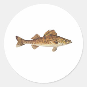 Sticker Rond Walleye Art