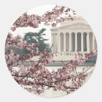Sticker Rond Washington DC de fleurs de cerisier