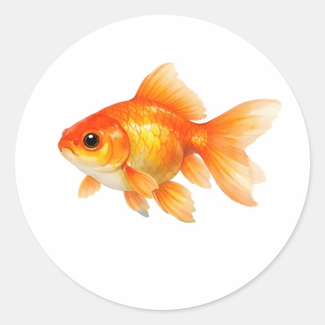 Sticker Rond Watercolor Goldfish  (Devant)