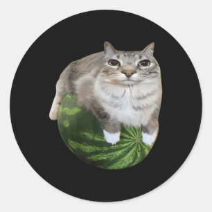 Sticker Rond Watermelon Cat Silly Cat Meme