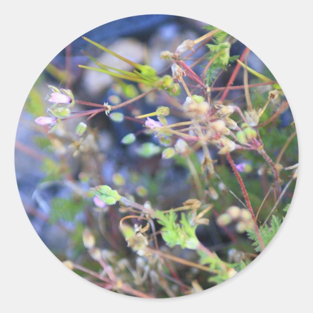 Sticker Rond Weeds (Devant)