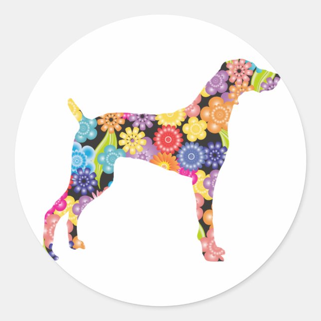Sticker Rond Weimaraner (Devant)