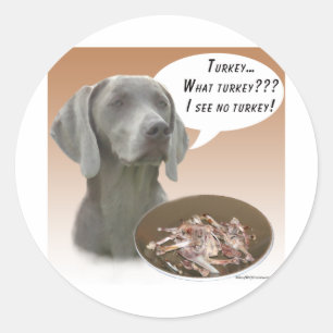 Sticker Rond Weimaraner Turquie