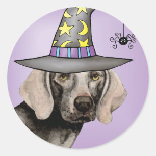 Sticker Rond Weimaraner Witch