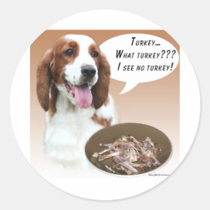 Sticker Rond Welsh Springer Espagne Turquie