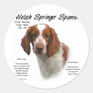 Sticker Rond Welsh Springer espagnol histoire design