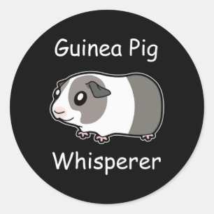 Sticker Rond Whisperer de porc de Guinée