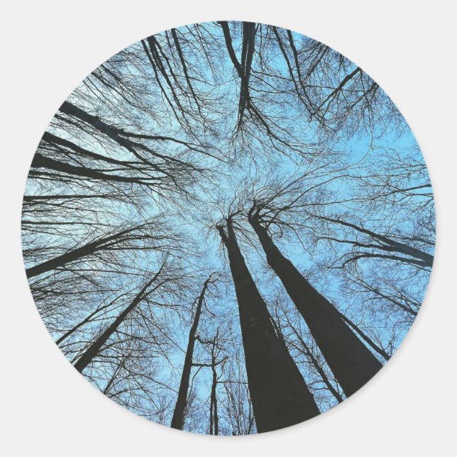 Sticker Rond Whispers of the Whisper Forest (Devant)