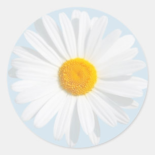 Sticker Rond White