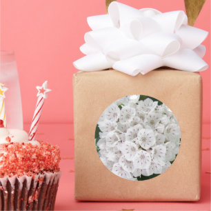 Sticker Rond White Mountain Laurel Star Fleurs en forme