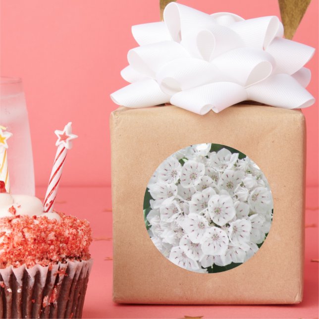 Sticker Rond White Mountain Laurel Star Fleurs en forme (Fête)