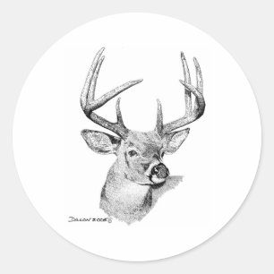 Sticker Rond Whitetail Deer