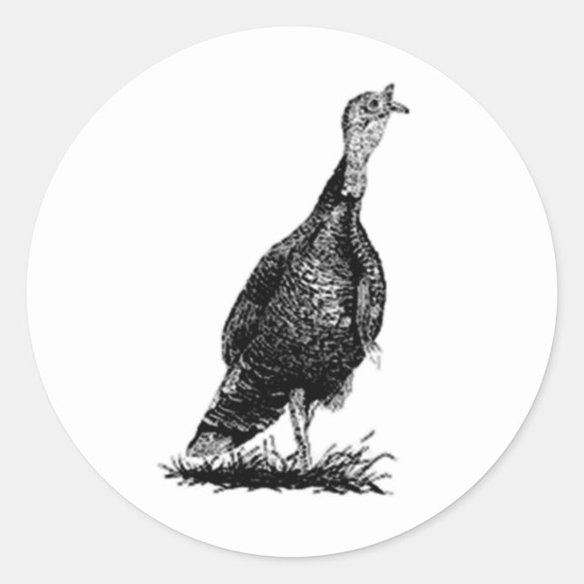 Sticker Rond Wild Turkey (Devant)